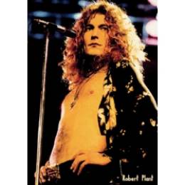 Плакат на баннерной основе Led Zeppelin - Robert Plant 1