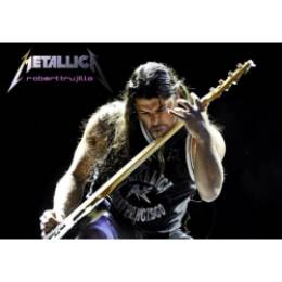 Плакат на баннерной основе Metallica - Robert Trujillo