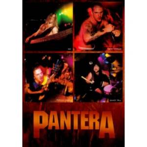 Плакат на баннерной основе Pantera 3