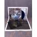 Urfaust - Empty Space Meditation LP (Dark Blue Vinyl)